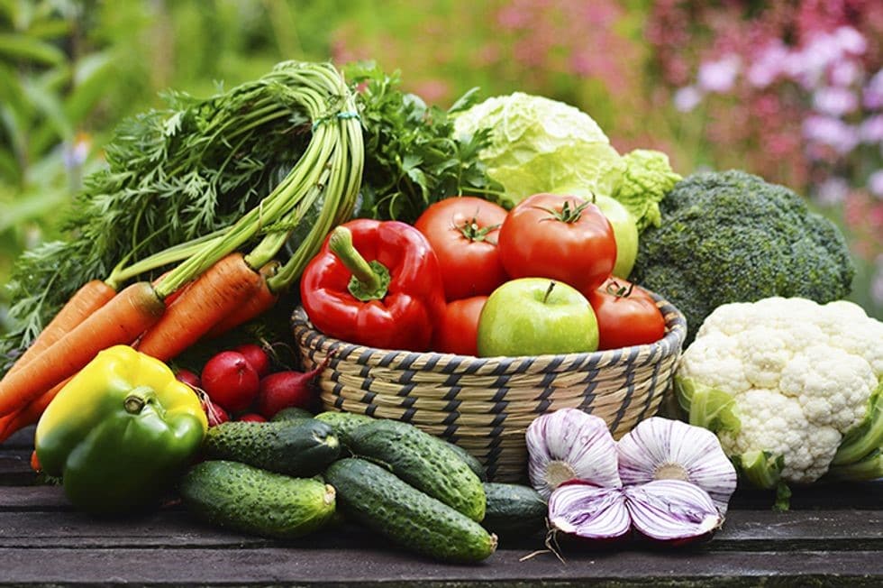 Slow Carb Diet Food List