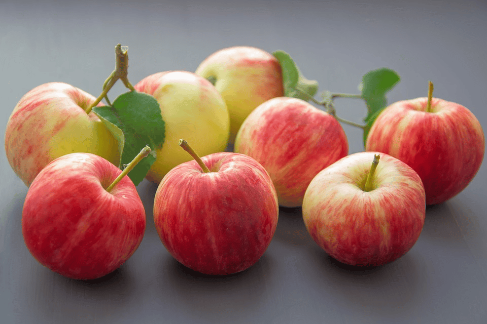 Healthy Food List for Weight Loss