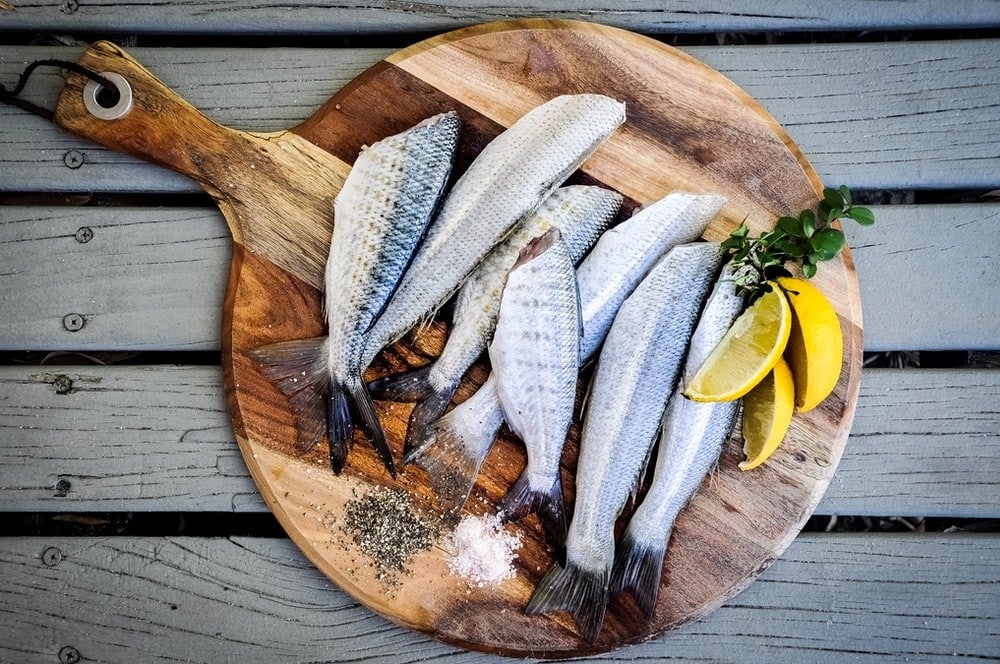 High Triglycerides Animal Proteins