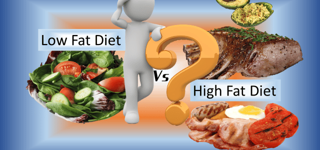 Dukan Diet VS Keto Diet