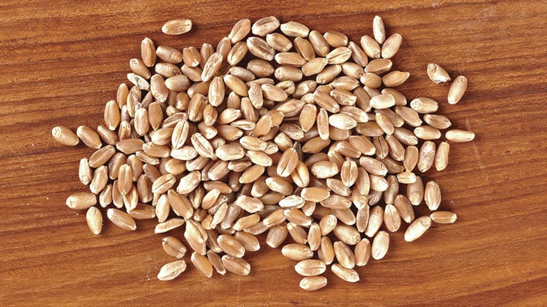 Whole Grains Food List