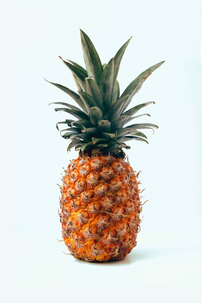 Low Carb Fruits