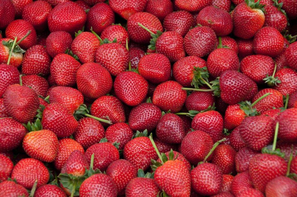Low Carb Fruits