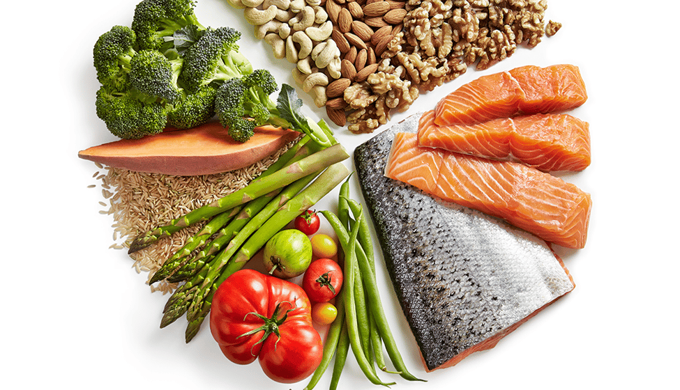 Zone Diet Blocks-Overview
