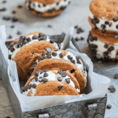 Gluten free ice cream cookie sandwich