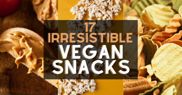 Vegan Snacks