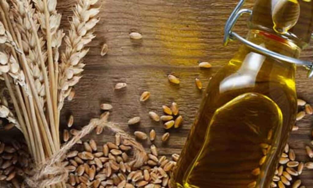 Vitamin E Foods List