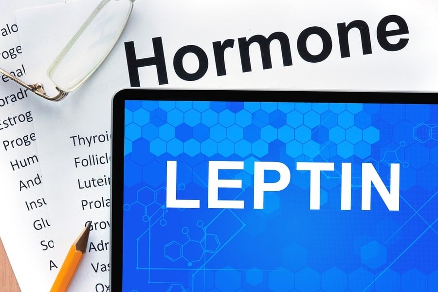 What Is Hormonal Belly Fat
