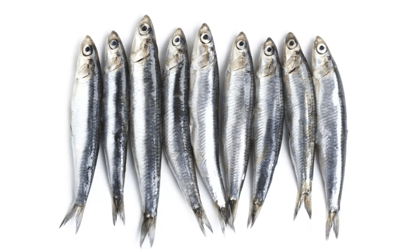 Omega 3 Foods List