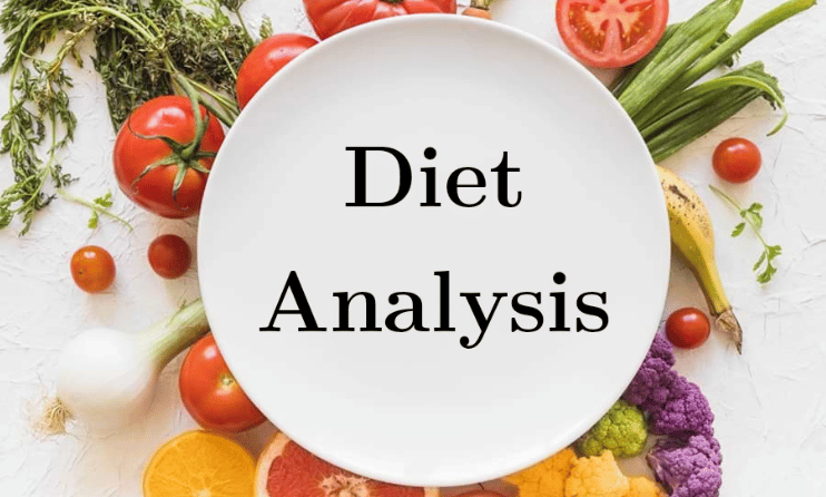 Dietary Patterns