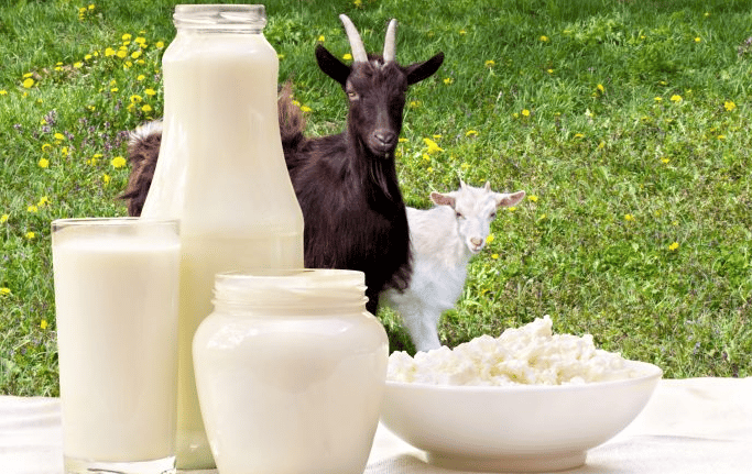 Is Milk Keto Friendly?