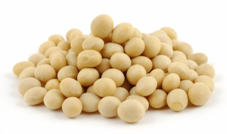 Iron Rich Foods Vegetarian