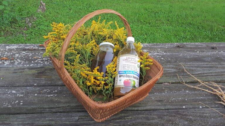 How to Use Apple Cider Vinegar to Lose Belly Fat