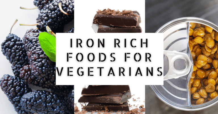 Iron Rich Foods Vegetarian