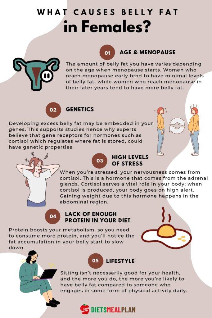 What Causes Belly Fat in Females
