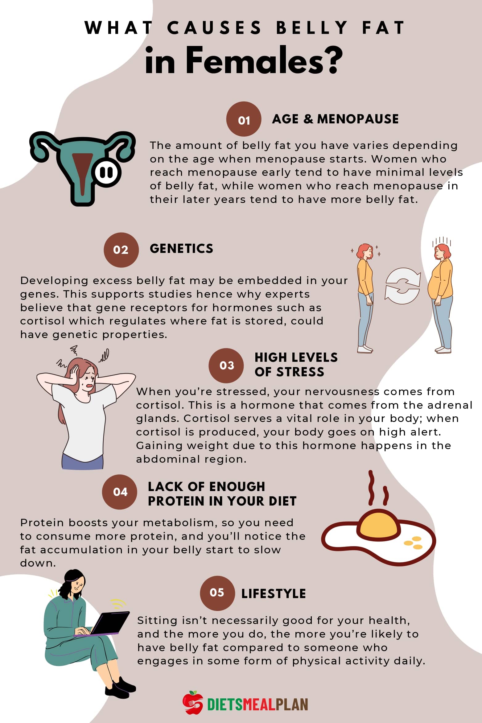 what-causes-belly-fat-in-females-key-factors