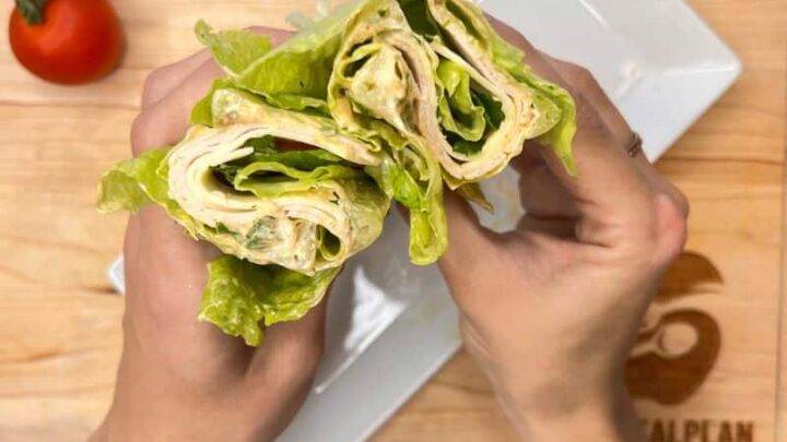 Low Carb Turkey Wrap Recipe