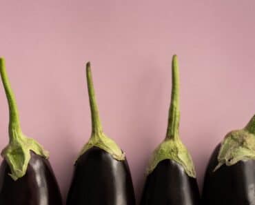 Vegetarian Eggplant Recipes You’ve Never Tried Before