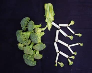 10 Foods to Strengthen Lungs