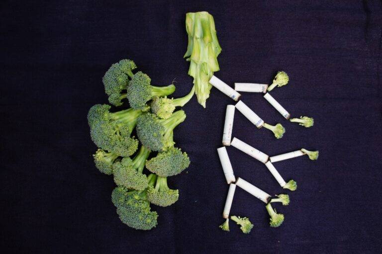 Foods to Strengthen Lungs