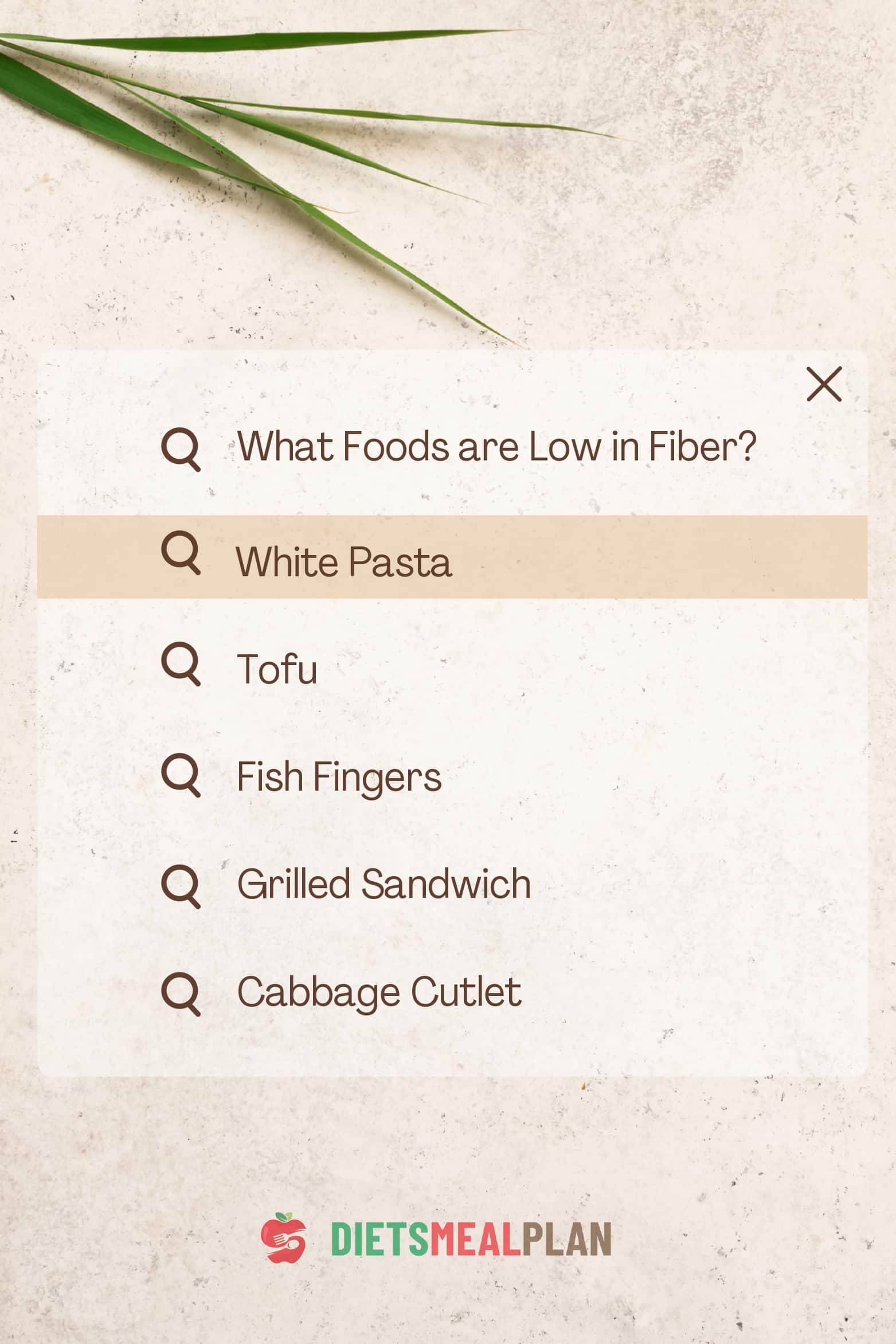 5 Yummy Low Fiber Snacks Diets Meal Plan