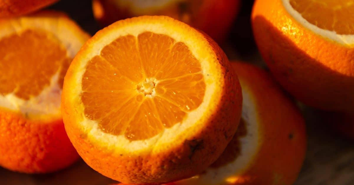 Orange Sorbet Recipe