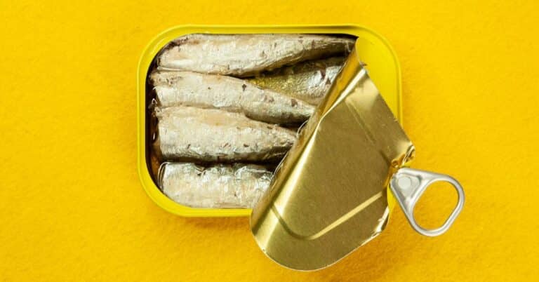 Fatty Fish List
