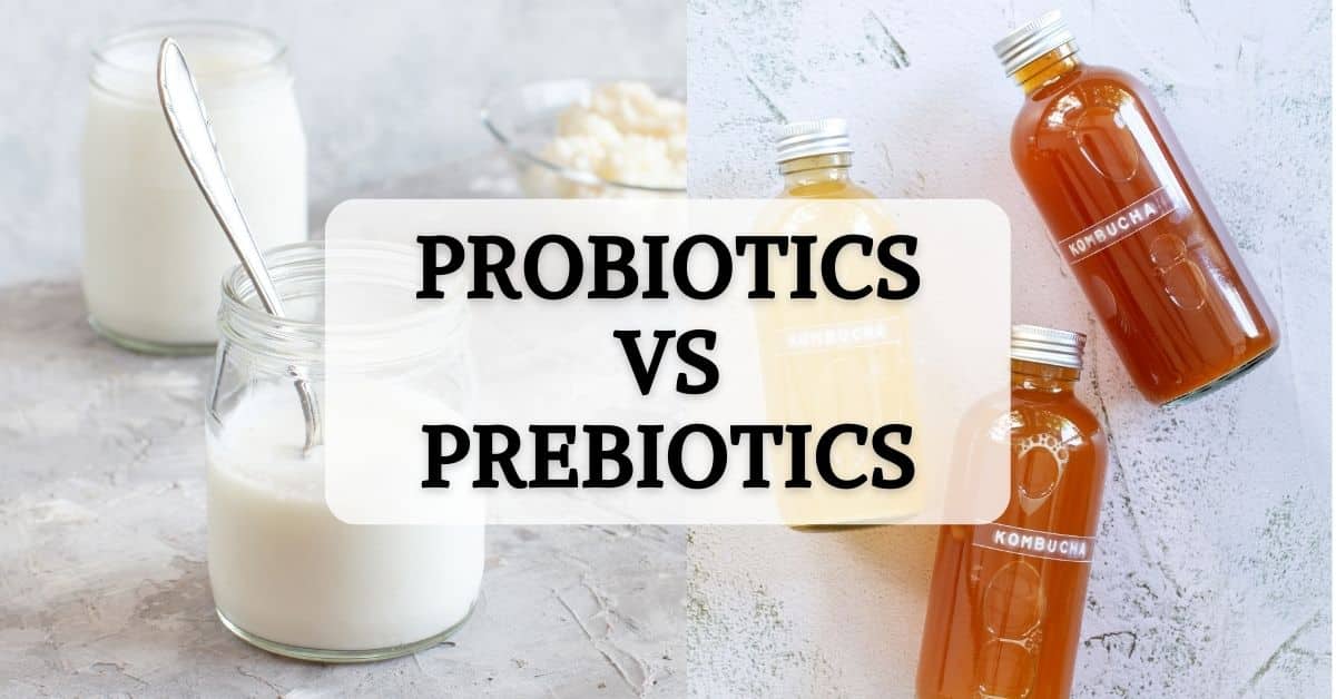 Probiotics vs Prebiotics Diets Meal Plan