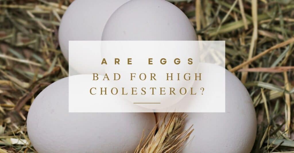 Are Eggs Bad for High Cholesterol
