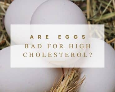 Are Eggs Bad for High Cholesterol