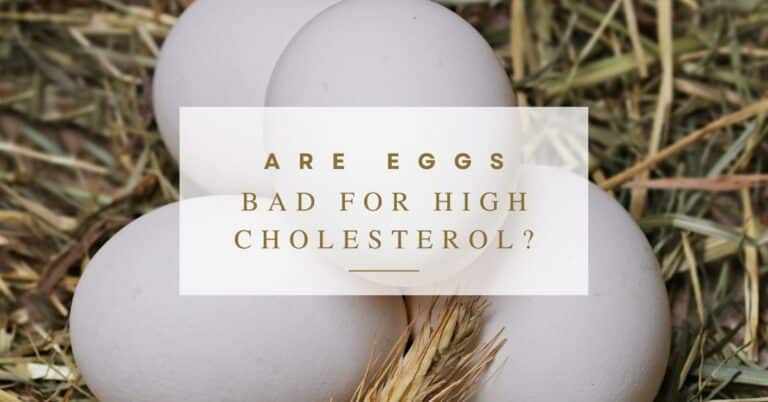 Are Eggs Bad for High Cholesterol
