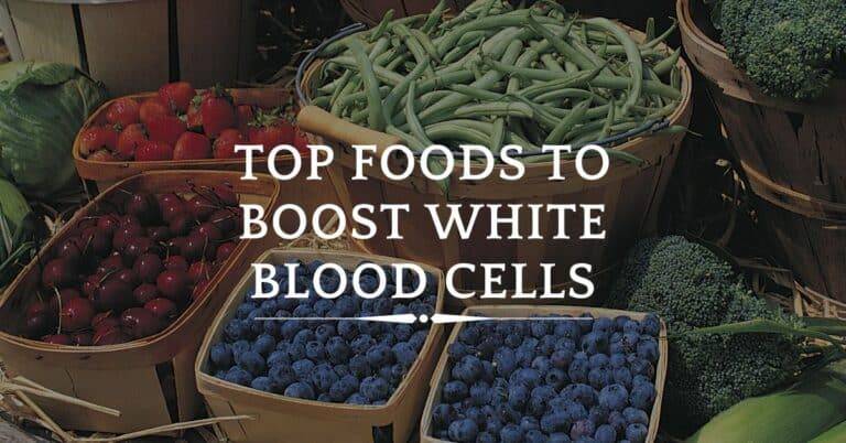Foods to Boost White Blood Cells