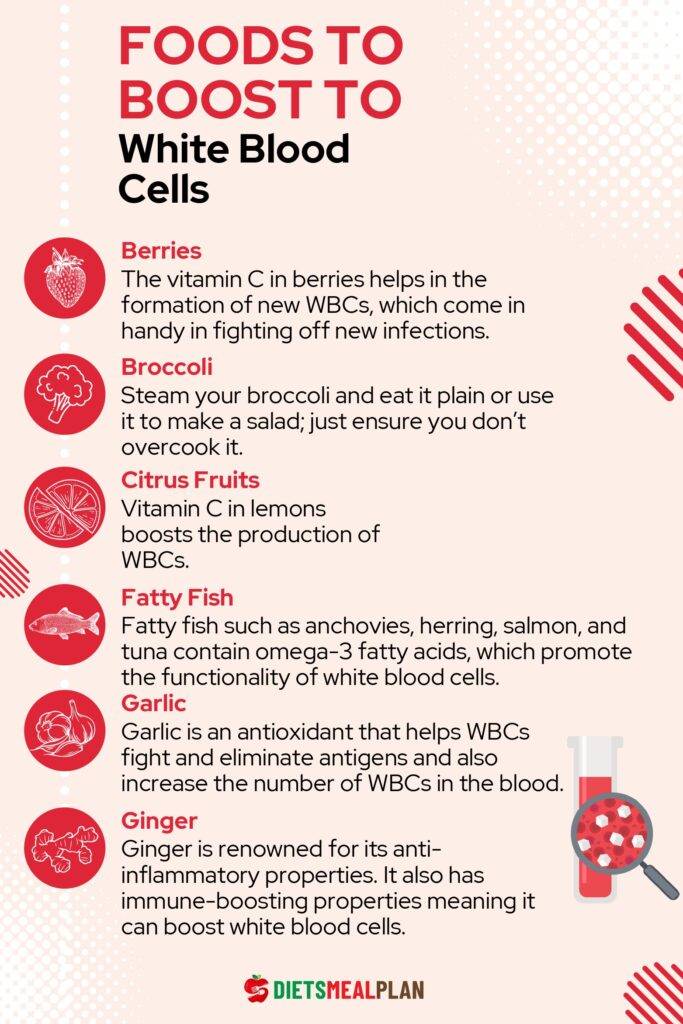 Foods to Boost White Blood Cells