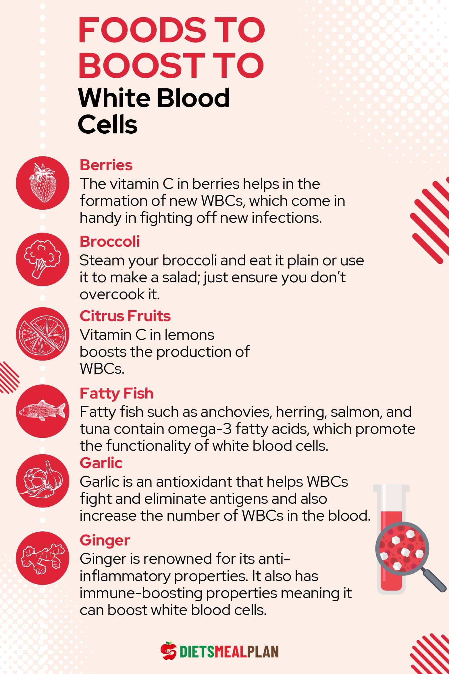 12 Foods to Boost White Blood Cells Diets Meal Plan
