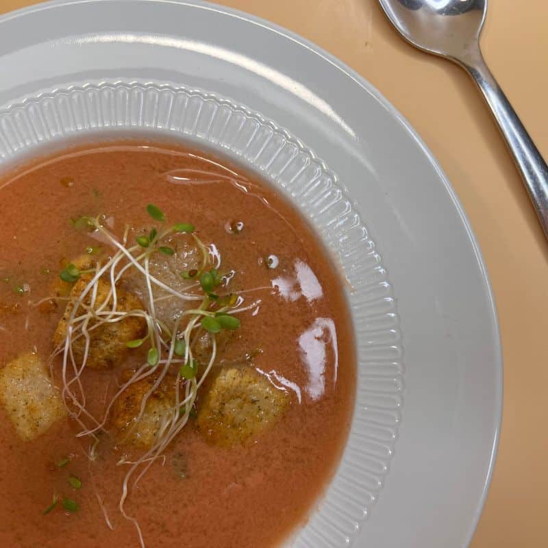 160 Cal Tomato Gazpacho Soup | Low Fat and Vegetarian