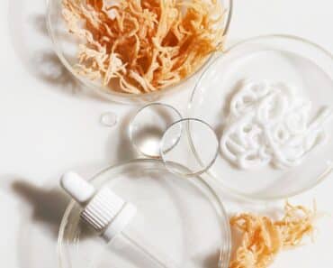 20 Best Sea Moss Benefits