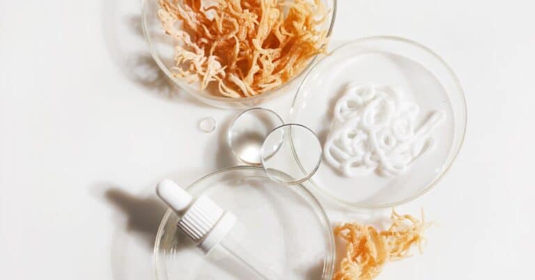 Sea Moss Benefits