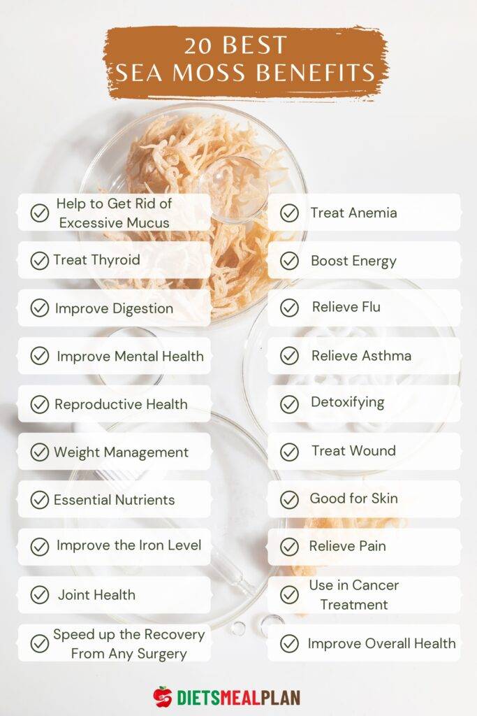 Sea Moss Benefits