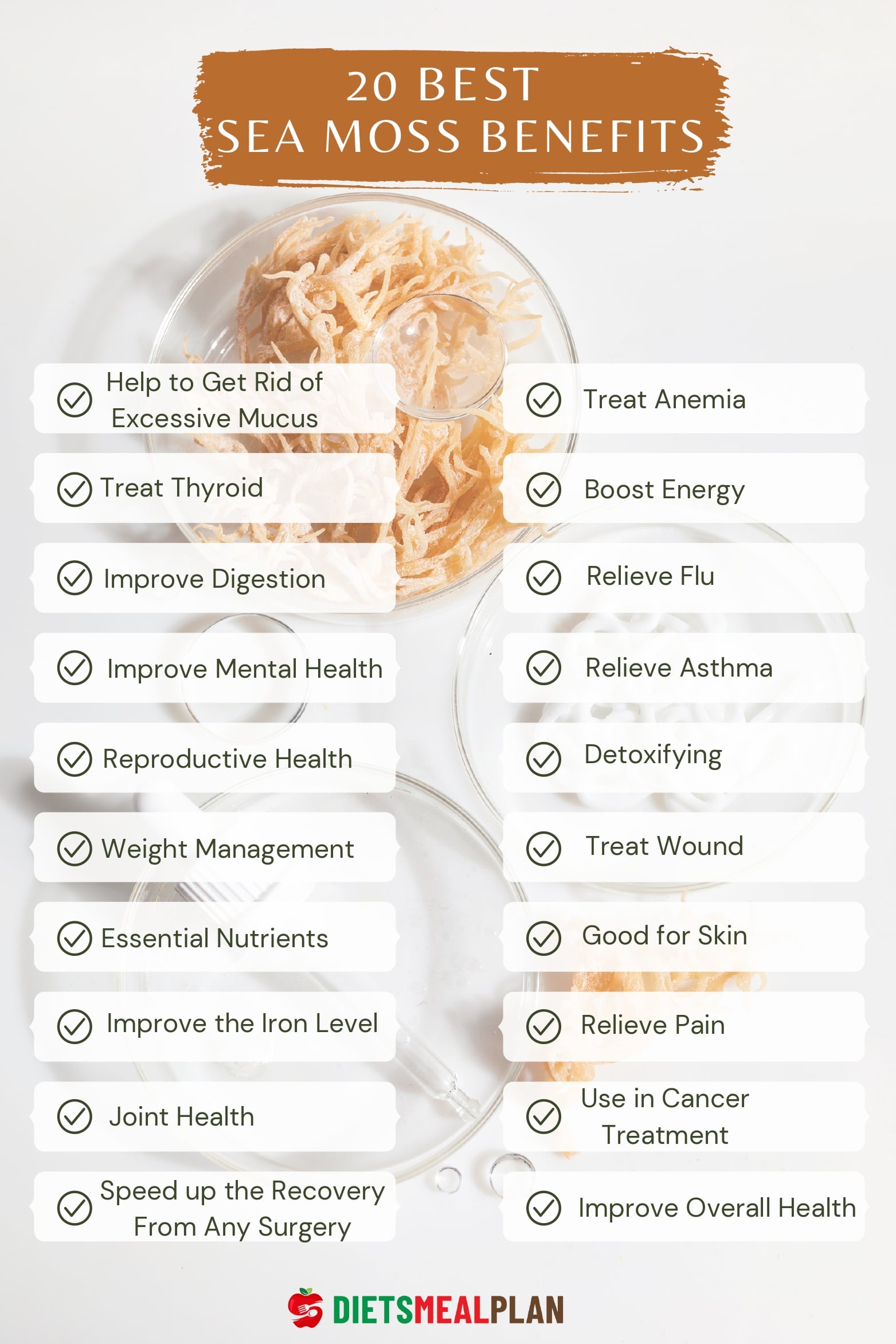 20 Best Sea Moss Benefits Diets Meal Plan 20-best-sea-moss-benefits-diets-meal-plan