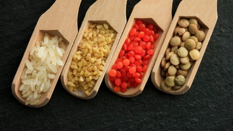 Legume Soup Recipe