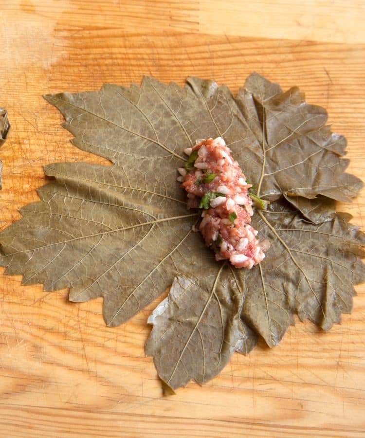 Stuffed Grape Leaves Recipe