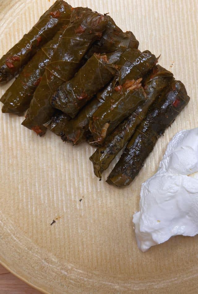 Stuffed Grape Leaves Recipe