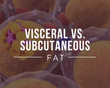 Visceral vs. Subcutaneous Fat