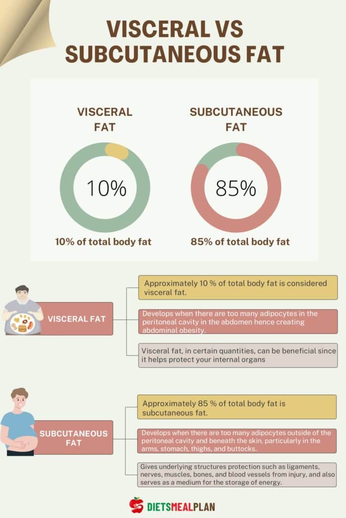 Visceral vs. Subcutaneous Fat