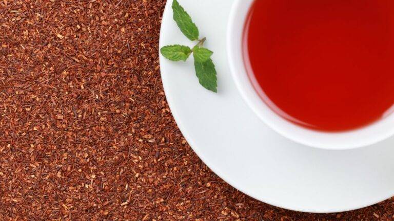 Rooibos Tea Side Effects
