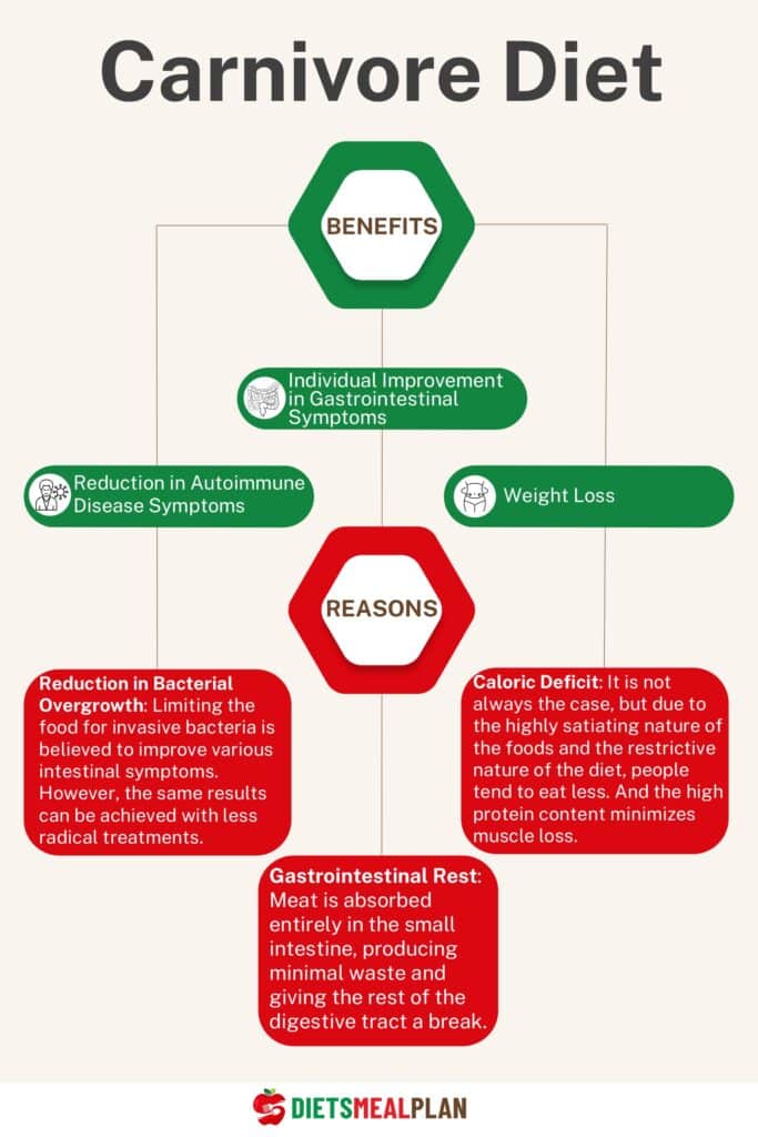 7 Day Carnivore Diet Plan - Diets Meal Plan