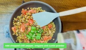 Vegan Mexican Burrito Recipe - Stir in the cooked lentils, chopped tomatoes, and chili pepper