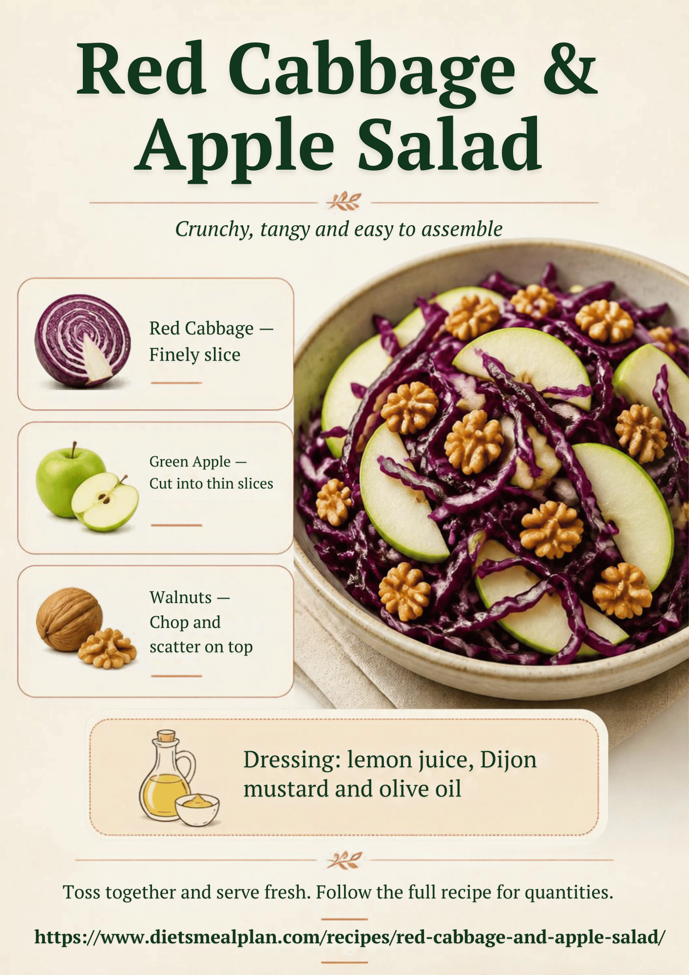 Red cabbage and apple salad infographic: finely sliced red cabbage with thin green apple slices and chopped walnuts, dressed with lemon juice, Dijon mustard and olive oil
